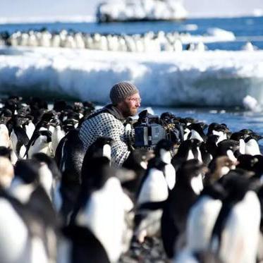 辛巴达人物背景揭秘，全球最强排名解析
