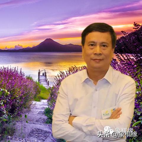 世界象棋高手排名榜,谁领风骚?江西巴仕乐材料解读