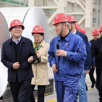 彩铝价格行情解析,今日铝价波动受市场供需影响,最新报价更新