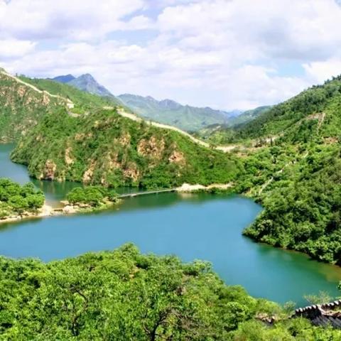 迷你世界护卫角色大解析,实力排名与角色特点全解读