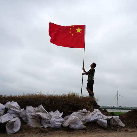 迷你世界护卫角色大解析,实力排名与角色特点全解读