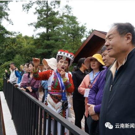 小镇多元领域齐发展,经济文化齐头并进新篇章