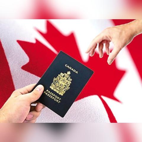 河北全家移民政策优化，便捷申请，全面支持！