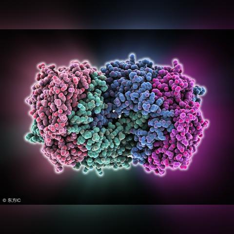 60钼铁价格走势分析,多重因素影响,未来或将上涨
