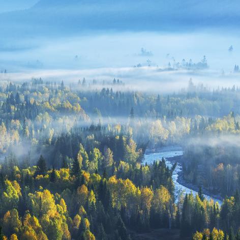 库车发展势头强劲,政治经济文化新进展,旅游繁荣吸引游客