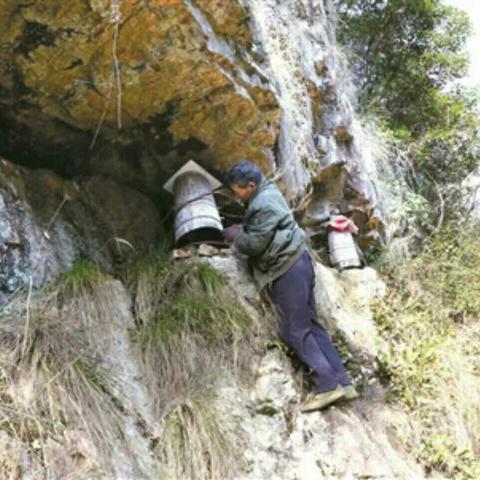 绿色中国·责任同行 第38页