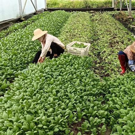 海口台风最新动态及影响分析，实时更新防范指引