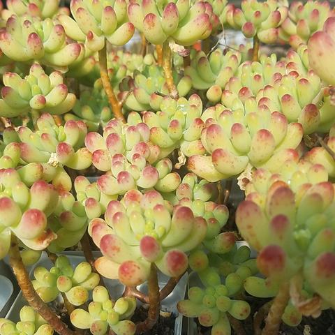 冬季社会关怀力量展现温暖瞬间，互助关爱汇聚暖流