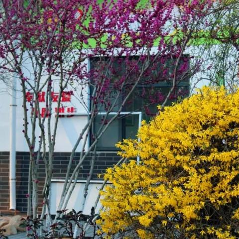 阳光公园打架事件引发社会关注,呼吁加强公共场所安全管理