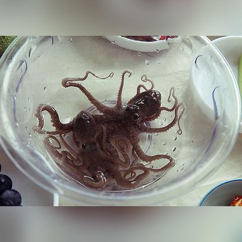 全球诡异恐怖食物大盘点,令人胆寒的饮食探秘