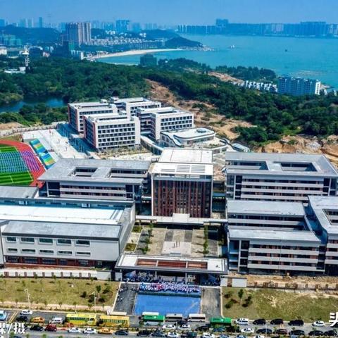 全球专科排名前十学校，顶尖教育资源与学术研究的殿堂