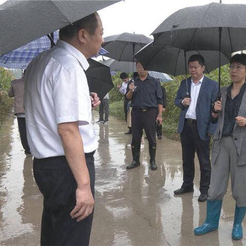 东昌府区今日晴朗稳定天气，气温回升防晒保暖两不误