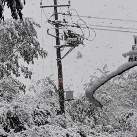平凉电厂停电通知,设备检修与升级,停电安排及恢复供电公告