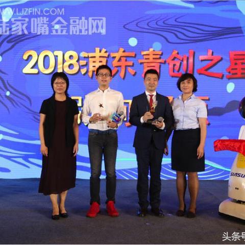 浦东新区青联换届名单揭晓,青春力量启航新征程