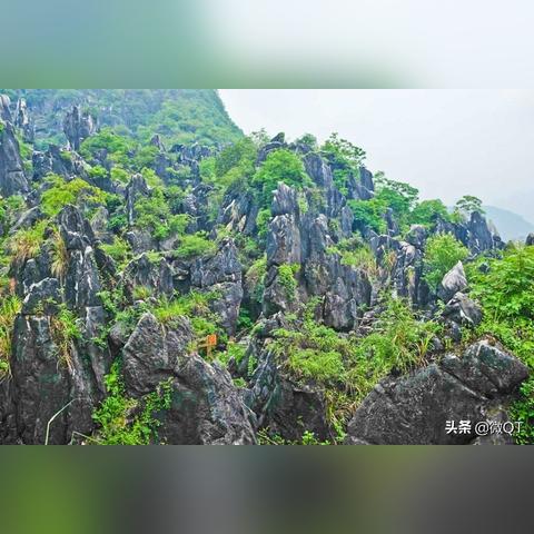 广西贺州雾情严重,交通受影响,市民需警惕天气预报信息