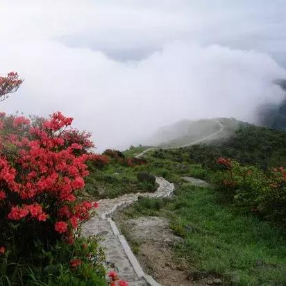 广西贺州雾情严重,交通受影响,市民需警惕天气预报信息