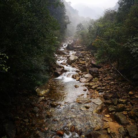 广西贺州雾情严重,交通受影响,市民需警惕天气预报信息
