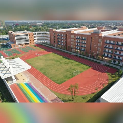 顺德小学排名榜单揭晓，优质教育选择指南