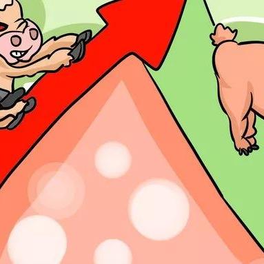 山东牛市场最新行情，价格稳定并预计持续稳定分析