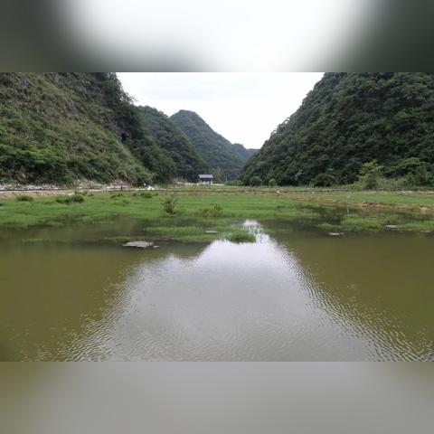 绿色中国·责任同行 第37页