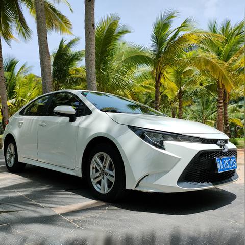 陵水油价调整解析，最新油价信息及影响分析