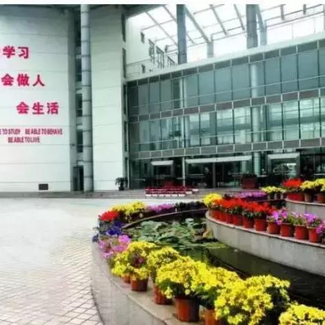 全球私立小学及私立学校排名解析，教育质量、师资、学术成果综合考量