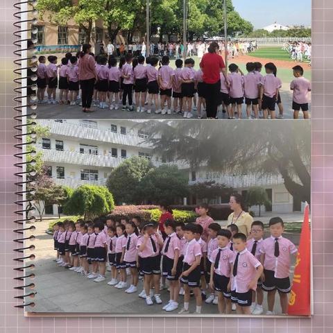 安徽铜陵油价调整，最新动态与趋势分析