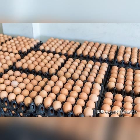 今日蛋价走势分析及最新价格表,市场稳中有涨趋势明显