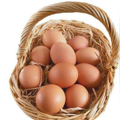 今日蛋价走势分析及最新价格表,市场稳中有涨趋势明显