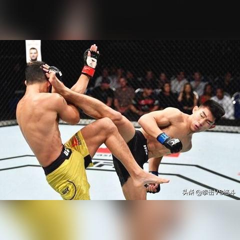 女子UFC选手崭露头角,官方排名揭晓!