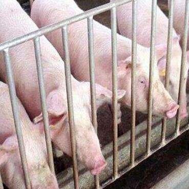 晋惠闻蛙 第2页