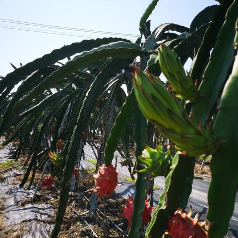 南宁开发区进展显著,基建完善、产业聚集,助力现代化发展
