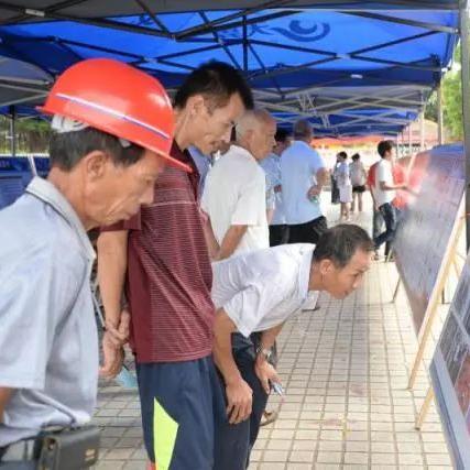 雷州最新新闻动态，全方位涵盖政治、经济、文化及社会资讯更新