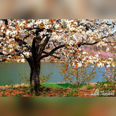 平邑雪势频繁,交通出行受影响,注意防寒保暖安全