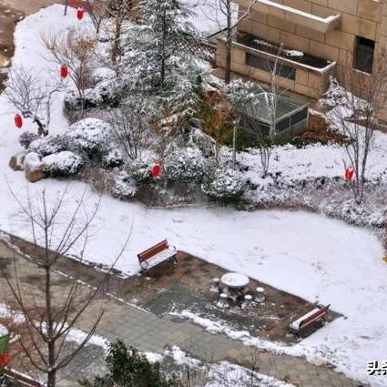 平邑雪势频繁,交通出行受影响,注意防寒保暖安全