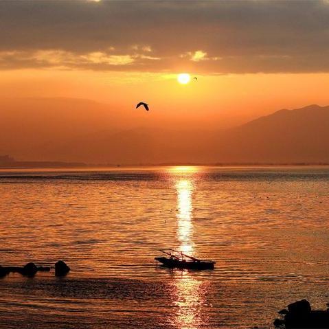 深圳湾公园活动盛况及最新建设动态引热议