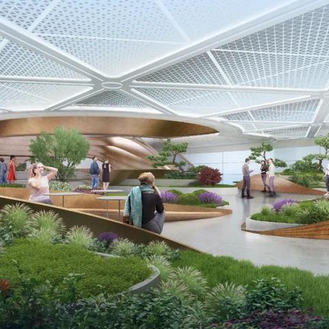 深圳湾公园活动盛况及最新建设动态引热议