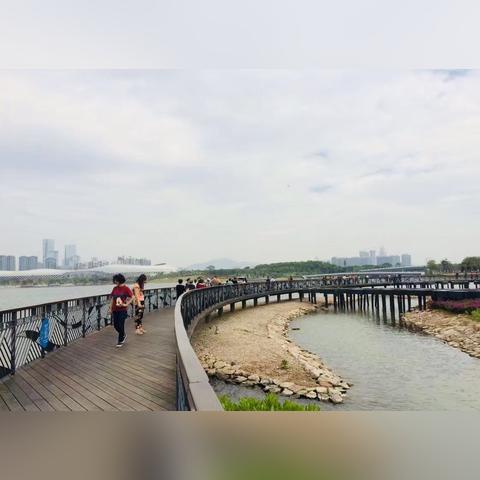 深圳湾公园活动盛况及最新建设动态引热议