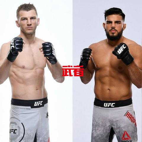 最新UFC赛事预测与对阵动态，强者对决，精彩不断！