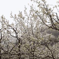 阳春地质图高清呈现,地质构造细致解析,为资源开发和研究提供参考