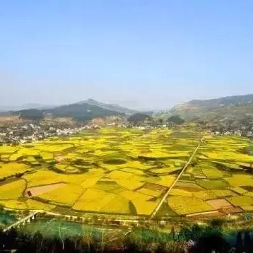 阳春地质图高清呈现,地质构造细致解析,为资源开发和研究提供参考