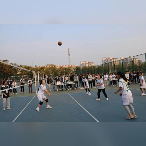 临沂物流头条网实时更新行业资讯,汇聚当地物流行业动态与趋势