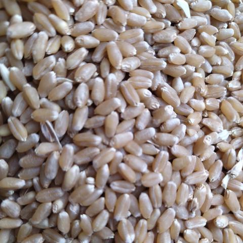 另谋高就 第2页