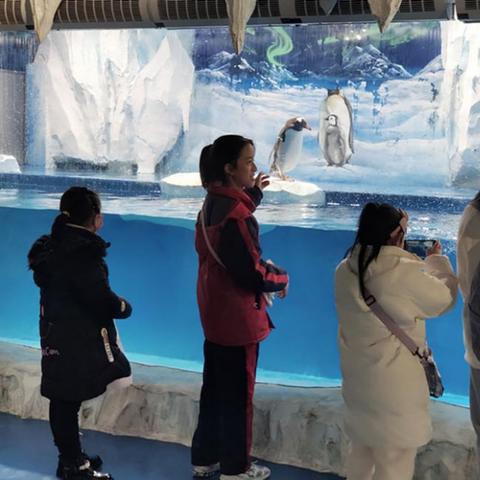 永嘉最新新闻摘要,今日政治经济文化等多领域动态概览