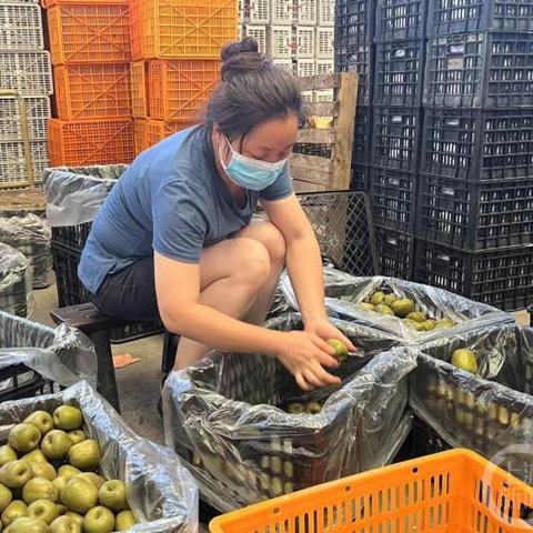 江津西湖葡萄采摘时间更新,新鲜果实等你来摘!