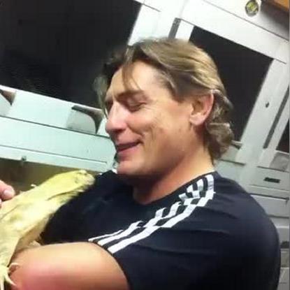 揭秘热点蜥蜴事件,带你了解蜥蜴百科知识