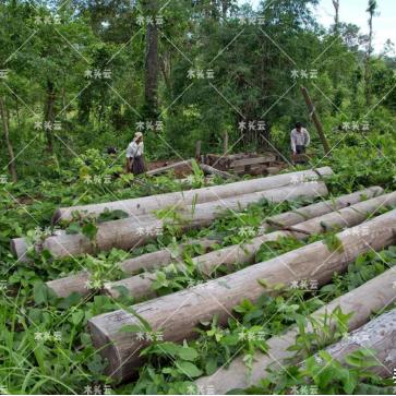 昂山,领袖风采与社会变革推动者