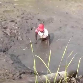 全球捕鱼高手揭秘,十大国家排名及独特捕鱼技巧视频展示