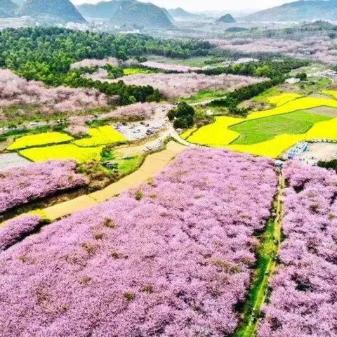 安顺平坝区2021年发展成果显著,多领域取得重要进展