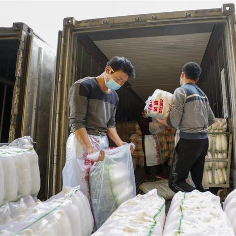 潼南区疫情最新动态,关注官方消息,共同抗击疫情